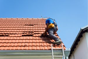  Roof Maintenance 